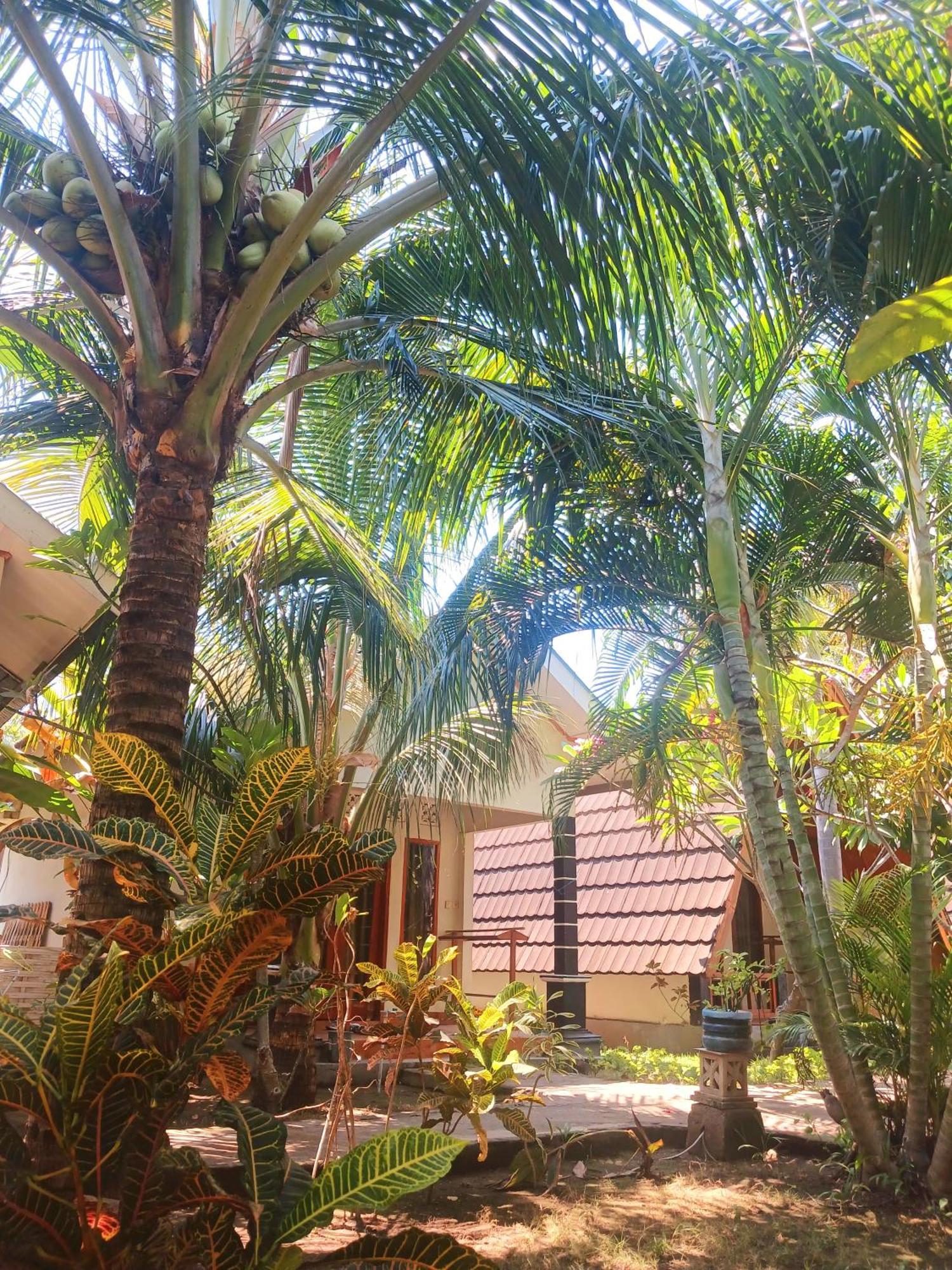 Florine'S Garden Hotel Gili Air Bagian luar foto
